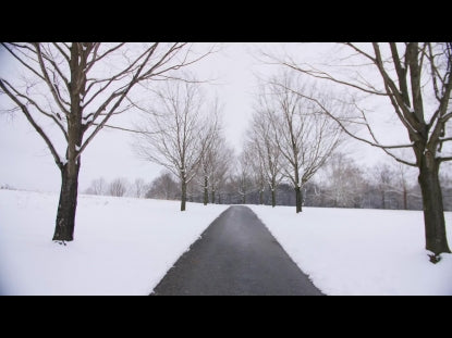 Snow Winter Background 38