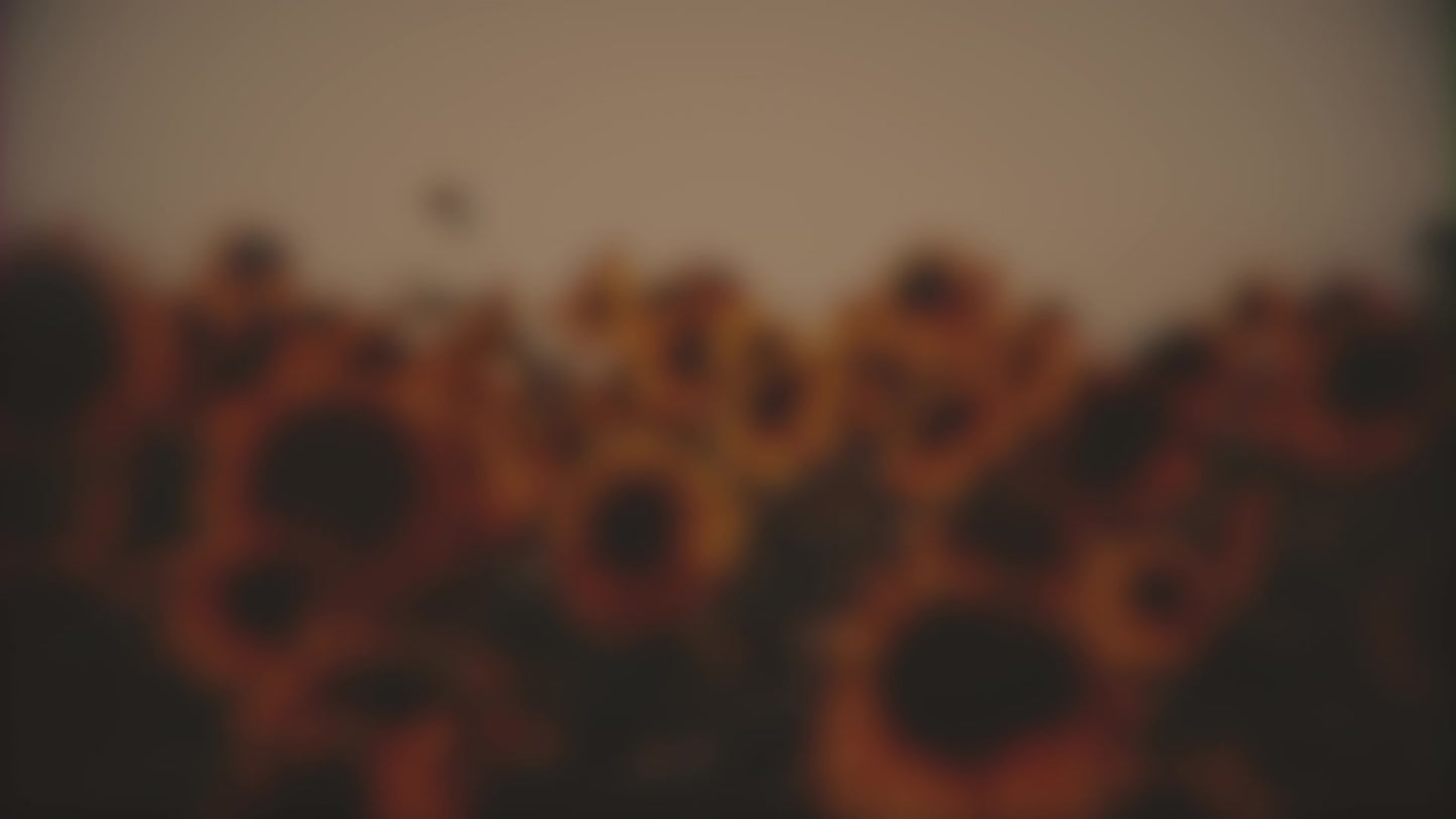 Vintage Sunflowers Group Blur