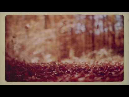 Crunchy Leaves Retro