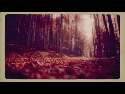Moody Forest Retro