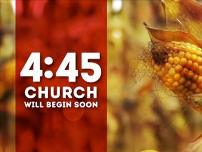 Corn Countdown