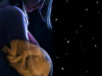 Voice Of The Voiceless