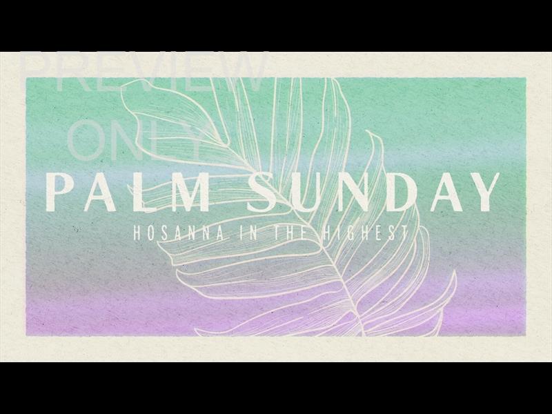 Paper Palm Palm Sunday Still