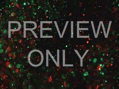 Christmas Glitter Swirl