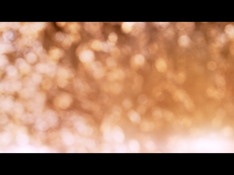 Christmas Light: 1