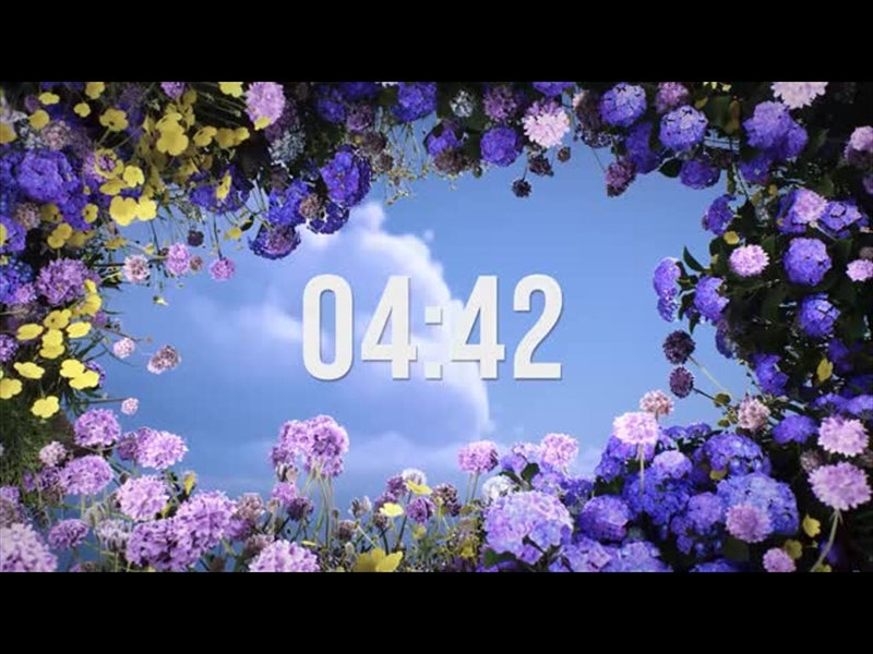 Back To Life Countdown