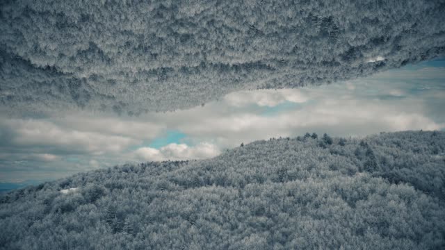 Glorious Winter 04
