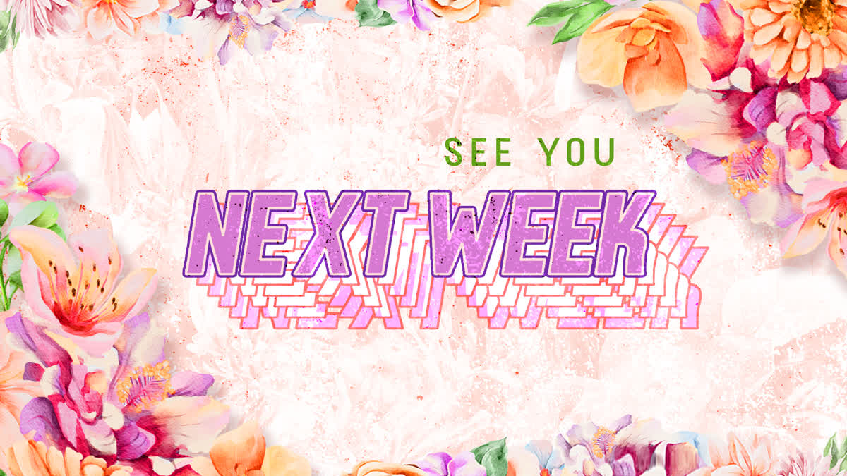 Seasonal Vibes Spring 02 Goodbye Still