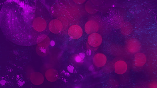 Christmas Reflections 07 Still