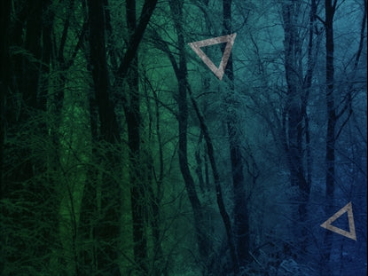 Blue Green Snowy Forest