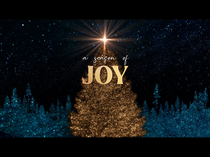 Sparkling Christmas Joy
