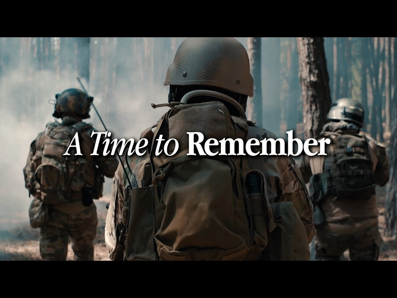 Veterans Day (A Time To Remember)