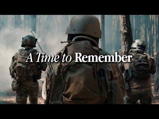 Veterans Day (A Time To Remember)