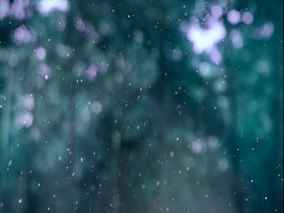 Winter Snow 6 Still
