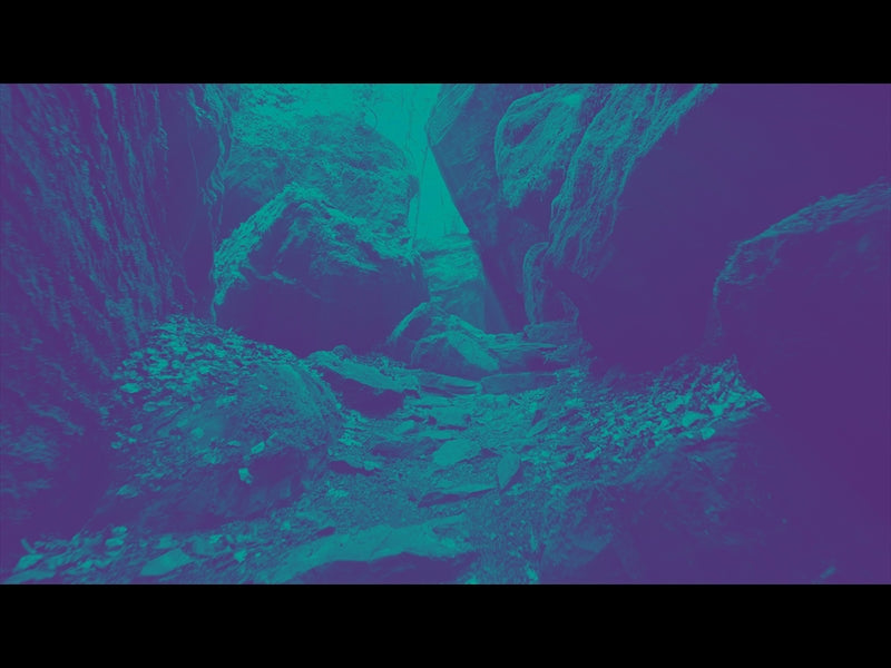 Deep Forest Rocky Ravine Teal Purple
