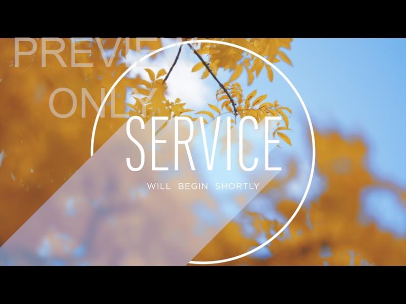 Fall Shadow Still Service