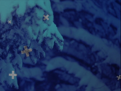 Cool Snowy Branches