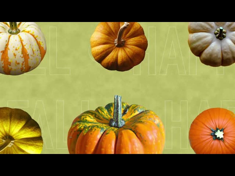 Multi Pumpkin 5