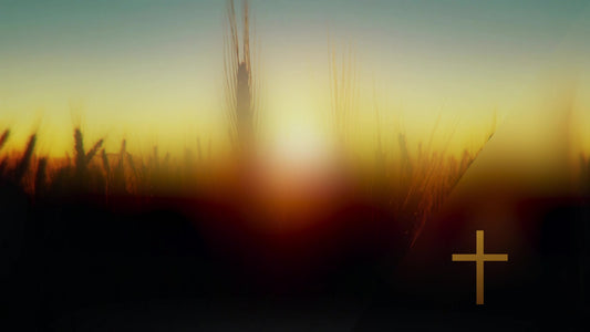 Days End Field Cross Still