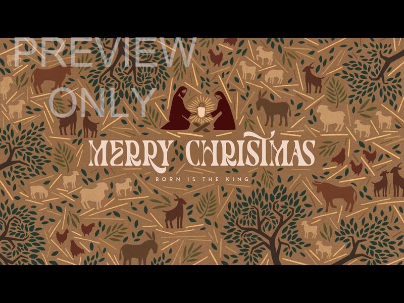 Emmanuel Illustration: Merry Christmas Still