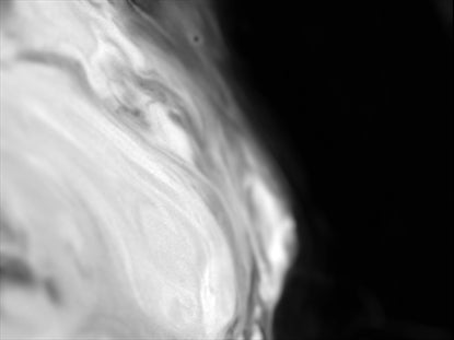 Infinity Reality Monochrome