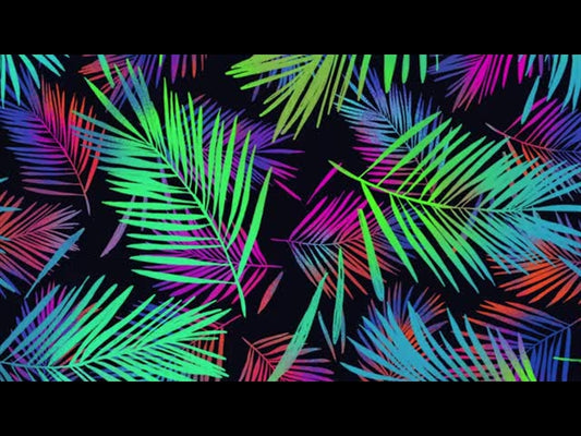 Darkness Turned To Light: Palm Sunday 2