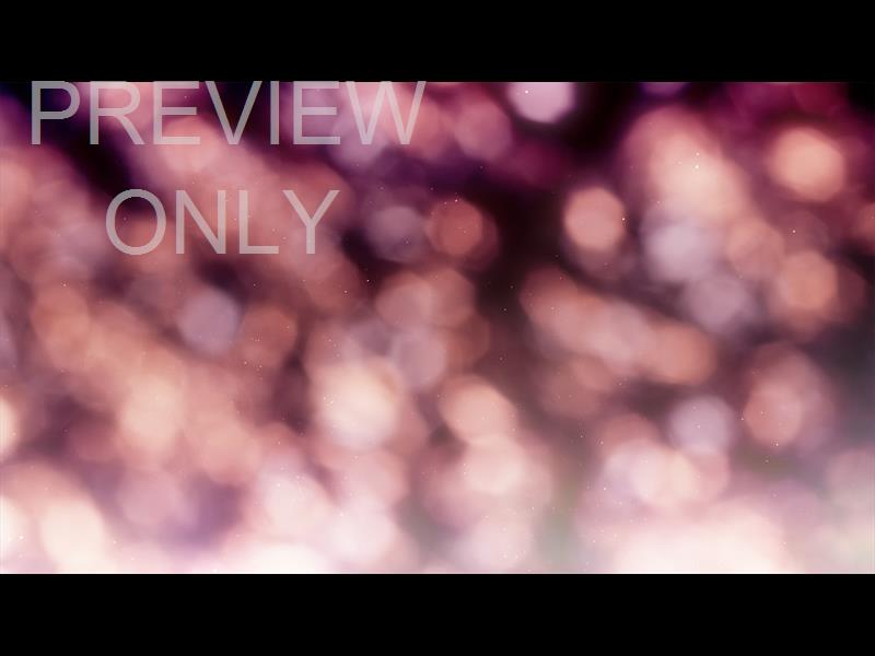 Christmas Light: 3 Still