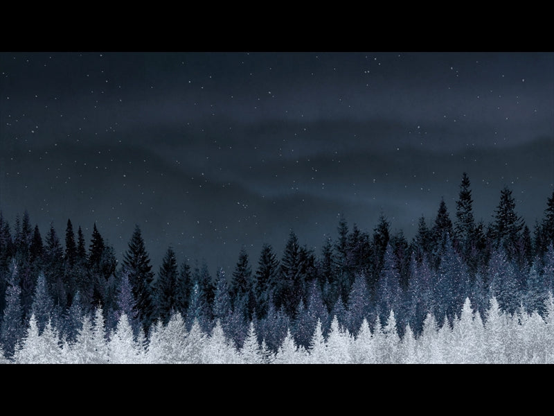 Sparkling Trees 2