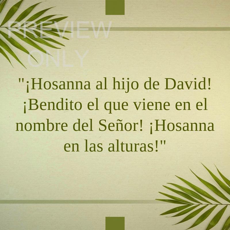 Palm Sunday Social Graphic - Spanish