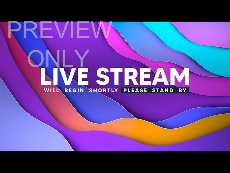 Waveflow Live Stream Still