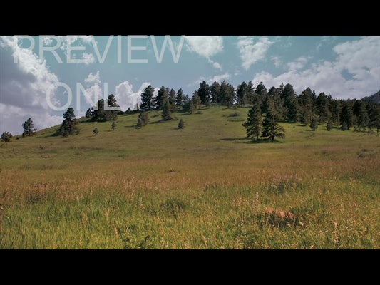 Flatirons 11 Still