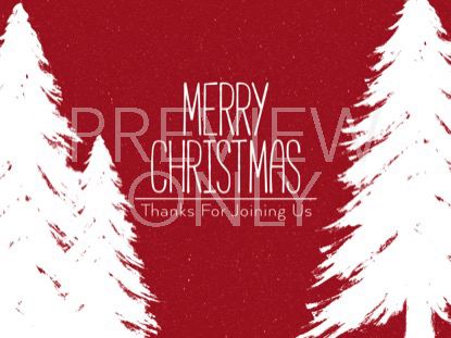 Winter Spruce Christmas 1 Still