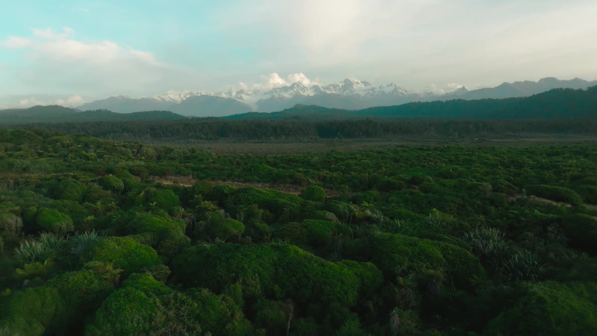 Gillespies Beach 1 Still