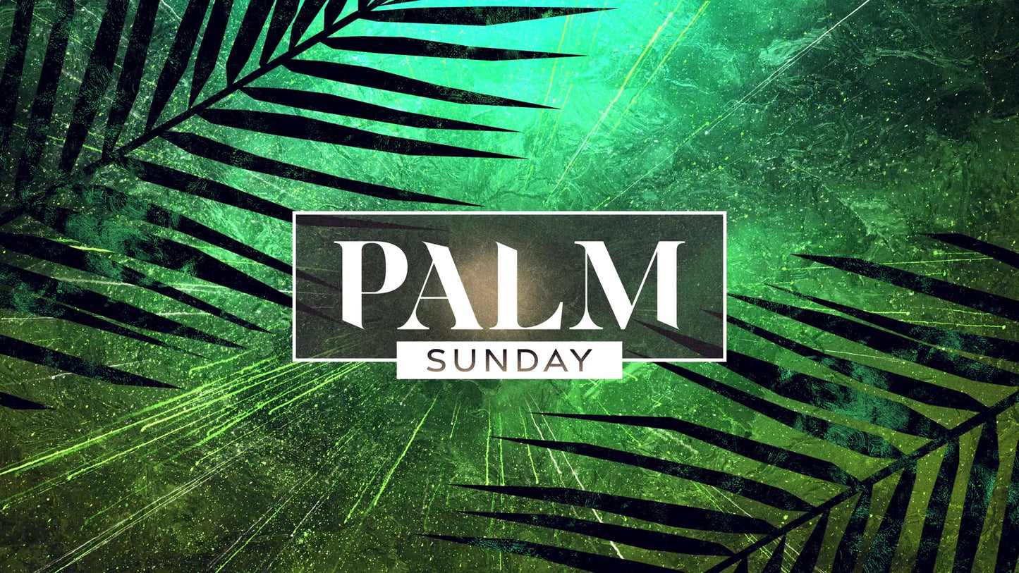Vivid Palm Sunday Palm Sunday 01