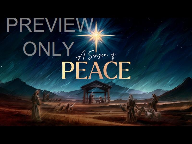 Christmas Story Peace Still