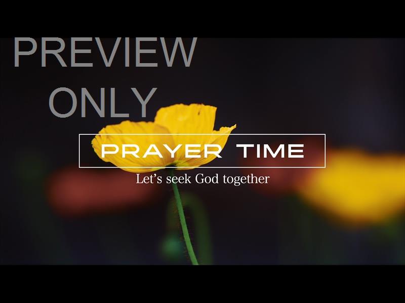 Springs Embrace Prayer Still