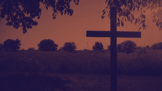 Cross 3 Duotone Still