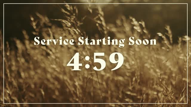 Autumn Meadow Service Starting Soon