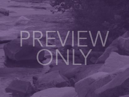 Natural Serenity Still 5