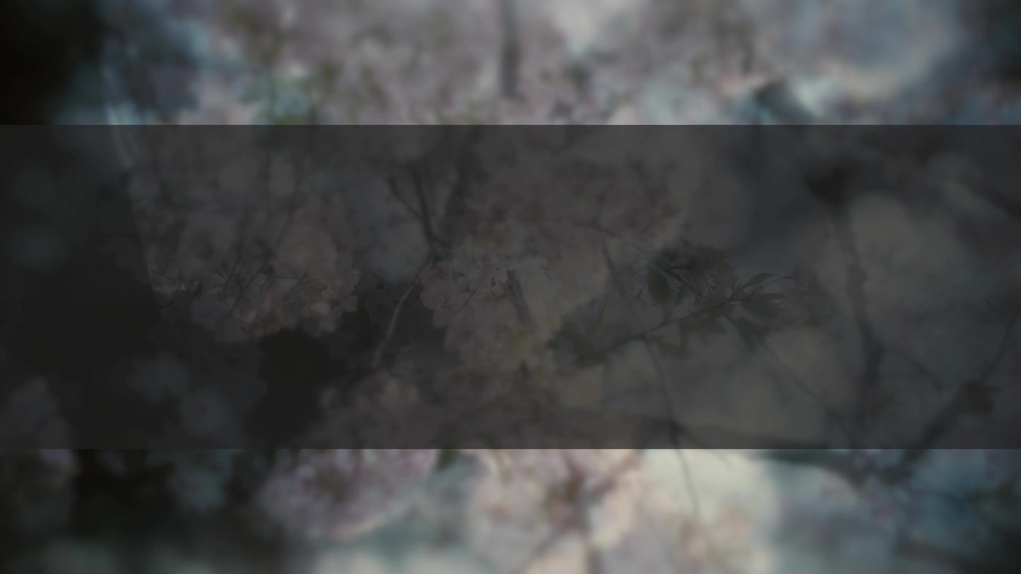 Muted Spring Bloom Box Still