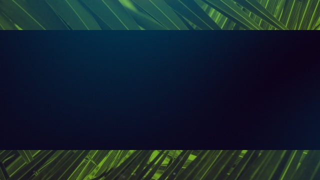 Palm Sunday Streaming 06