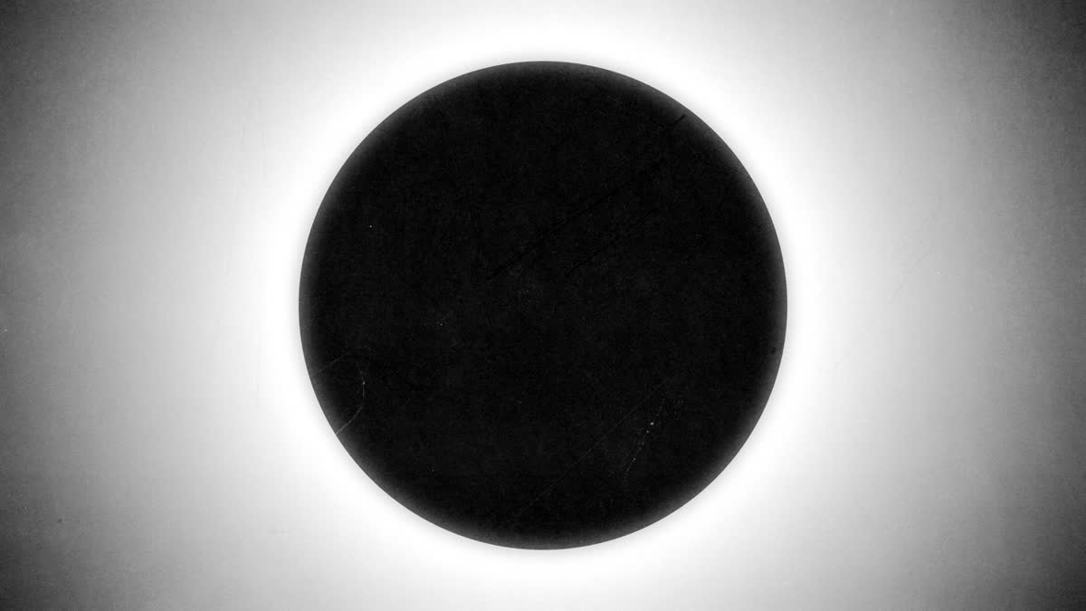Silhouettes 12