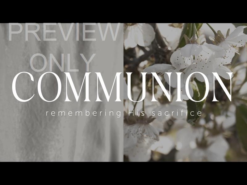 Grove Communion Still