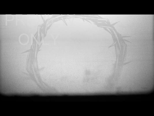 Crown Of Thorns Still 05