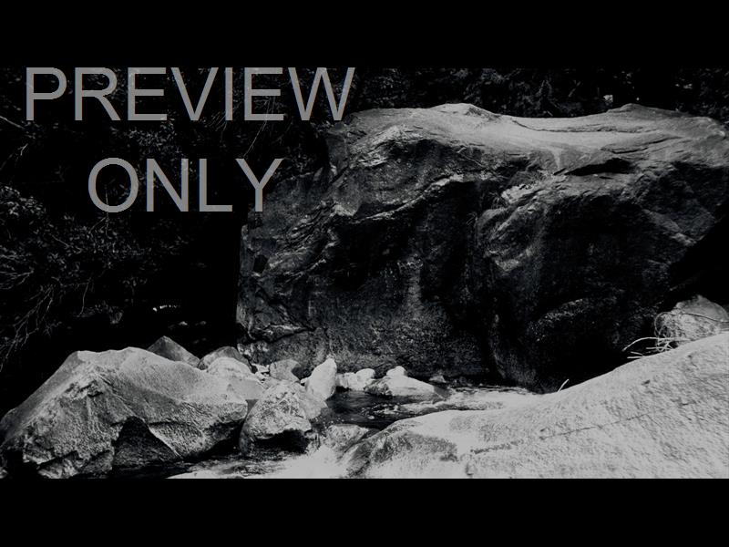 Black And White River 15 Still