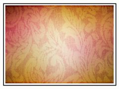 Paisley 1