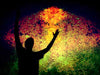 Silhouette Worshipper