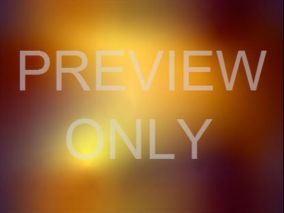 Solstice 12 Still