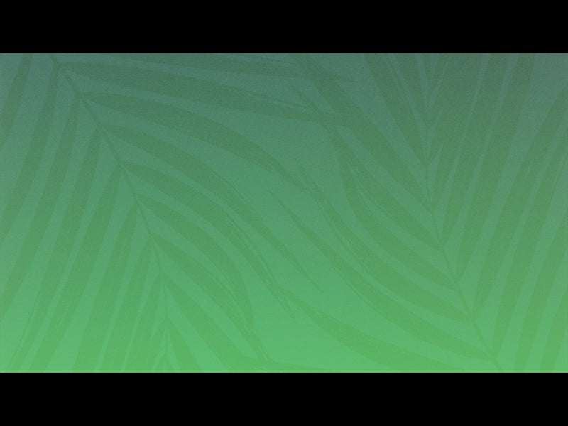 Risen Palms 2