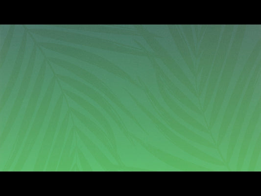 Risen Palms 2